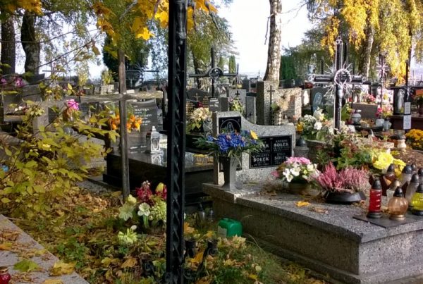 Cmentarz Zielonki 8.10.2015 r 140mosimage