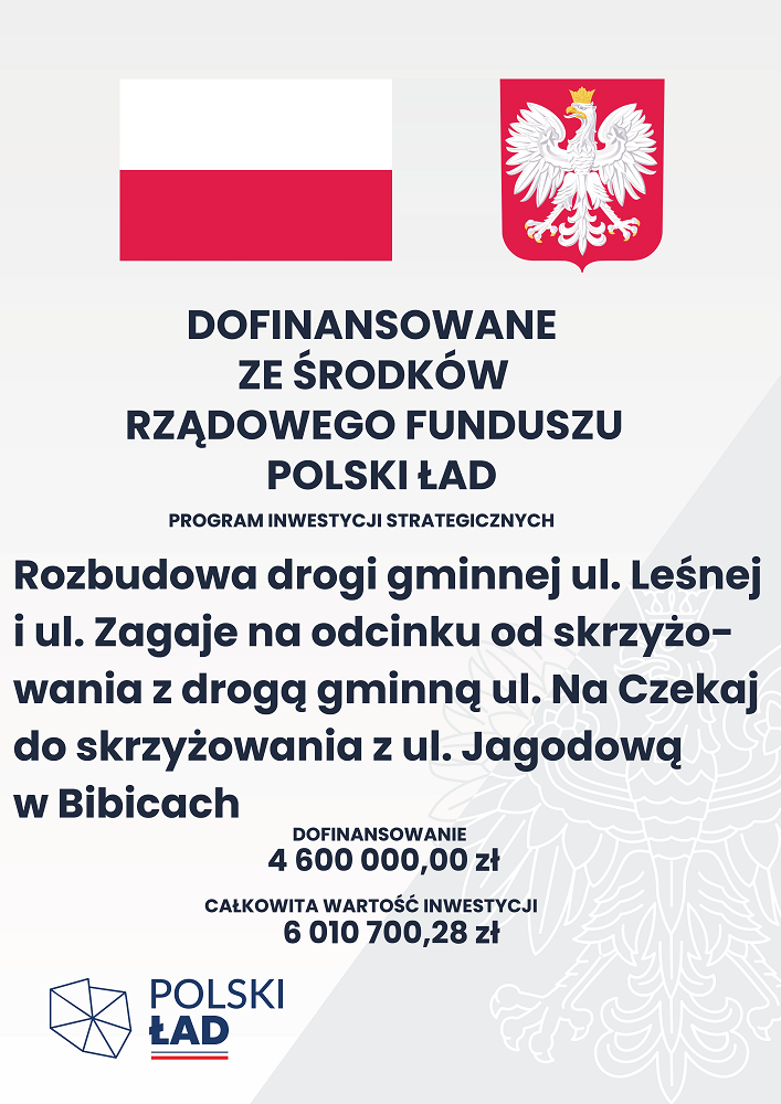 plakat Polski Ład Bibice Leśna Zagaje